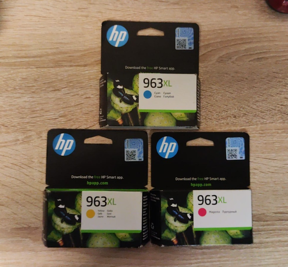 45069520